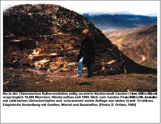Textfeld:  
Die in der Chinesischen Kulturrevolution v�llig zerst�rte Klosterstadt Ganden (Tibet, 4300 m NN) mit urspr�nglich 10.000 M�nchen. Wiederaufbau seit 1989. Blick zum Ganden-Peak (4500 m NN, Jurakalke mit zahlreichen Gletschert�pfen und -schrammen sowie Auflage von vielen Granit- Erratikas). Edaphische Besiedlung mit Quellen, M�rtel und Baustoffen. [Photo: D. Ortlam, 1989]
